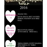 A poster for the sparkle strap tour 2016.